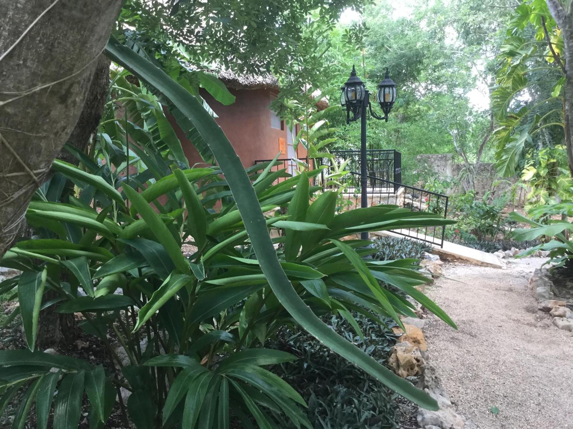 The Pickled Onion B&B And Restaurant Uxmal Santa Elena Quarto foto